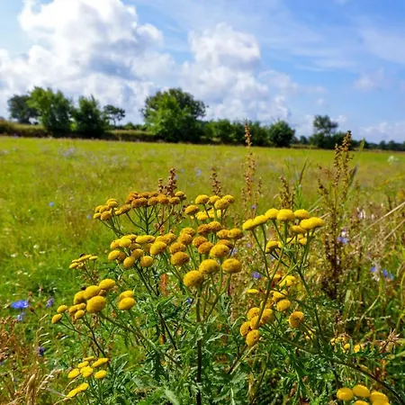 Haus Am Ringwall R84c Holiday home